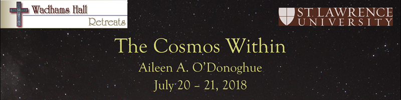 The Cosmos Within Graphic Title